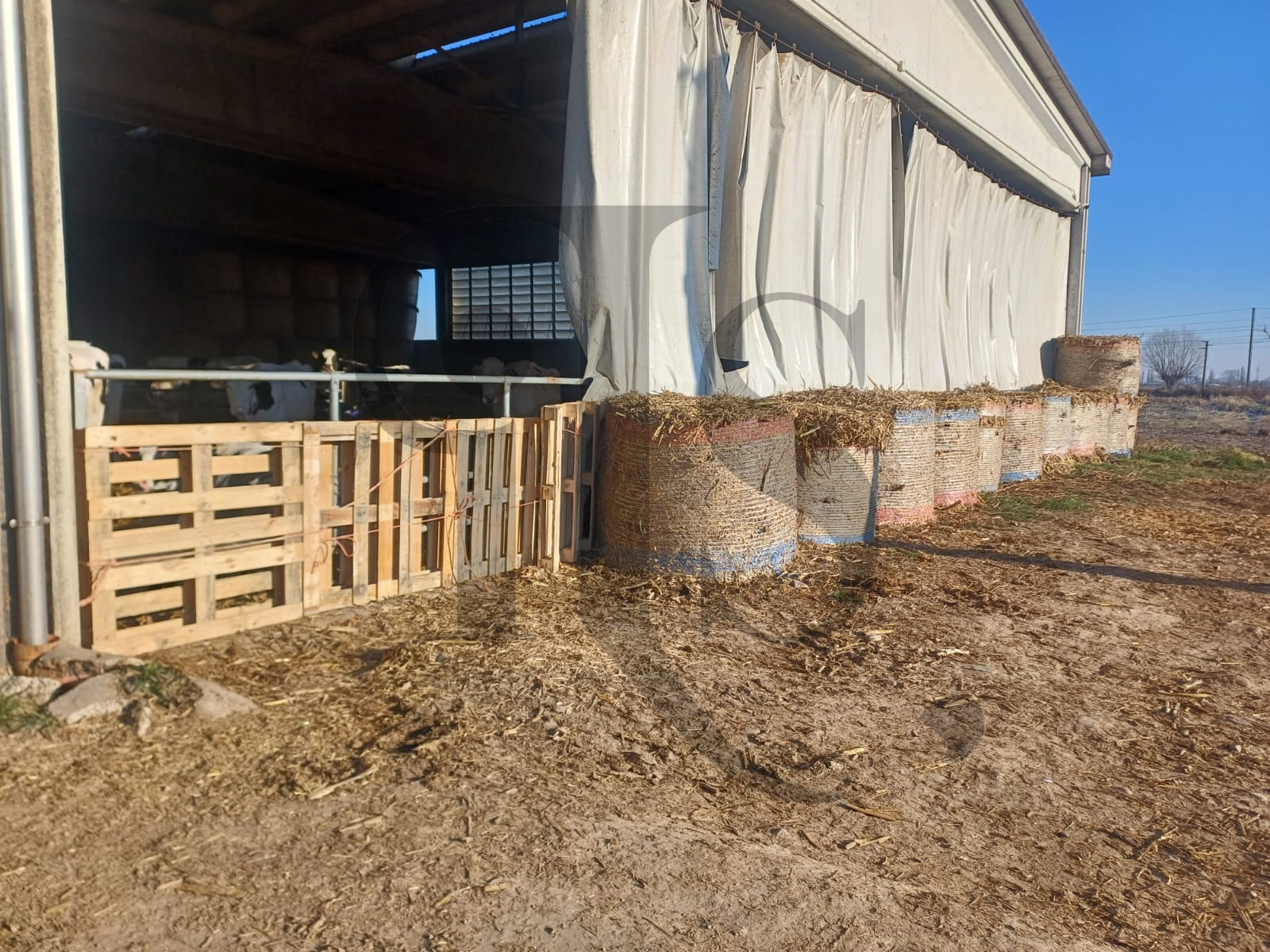 Le "barriere anti-lupo" installate presso Cascina Peretti